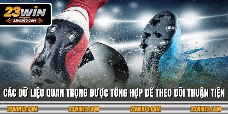 Các dữ liệu quan trọng được tổng hợp để theo dõi thuận tiện