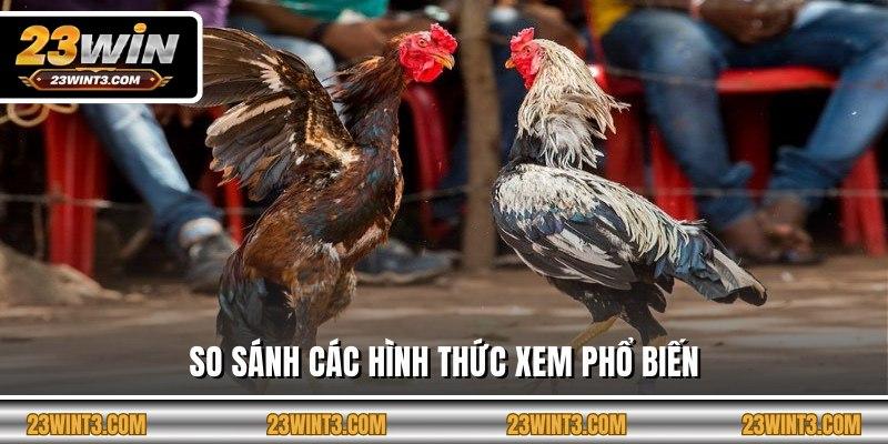 So sánh các hình thức xem phổ biến